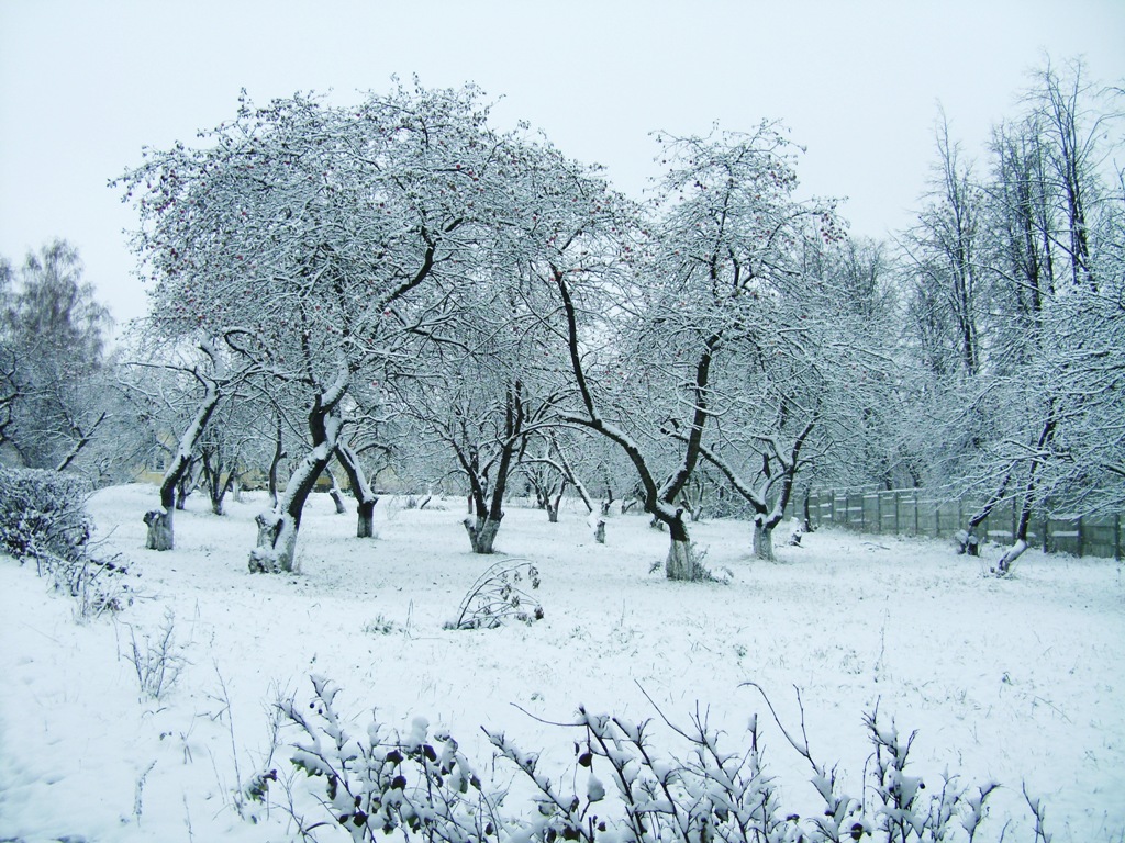 Район красной больницы