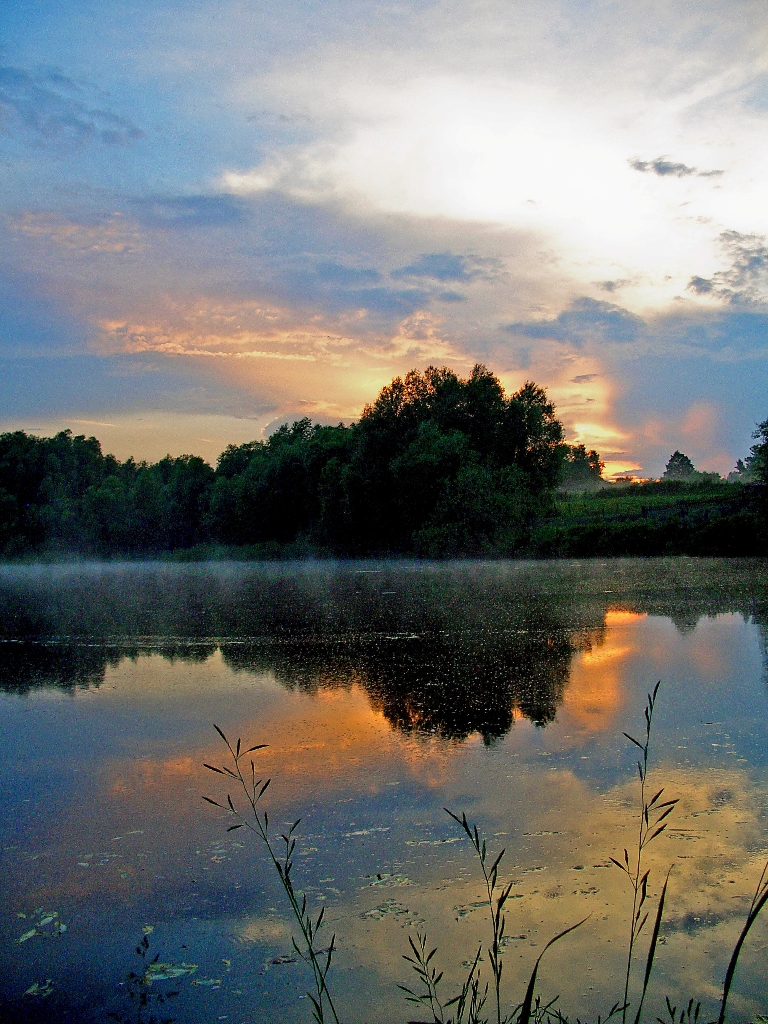 Пруд село Корневое