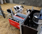 Какое нужно оборудование для молочных ферм