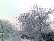 Зимний сад.http://blagomin.ru/