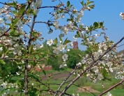 Село Корневое, вид на церковь