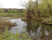 Вид с плотины на реке Верда, между поселком Заречный и селом Чулково